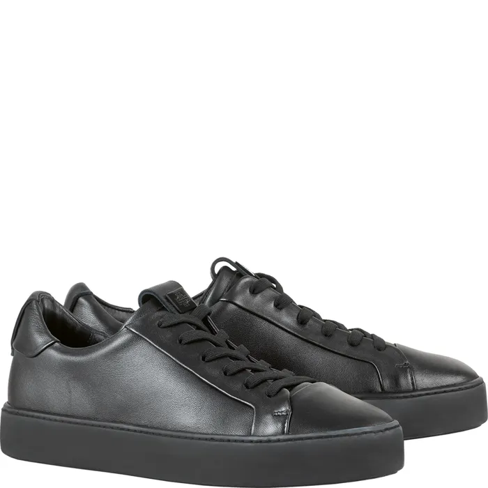 Women Carly Sneakers Black HGL Sneakers